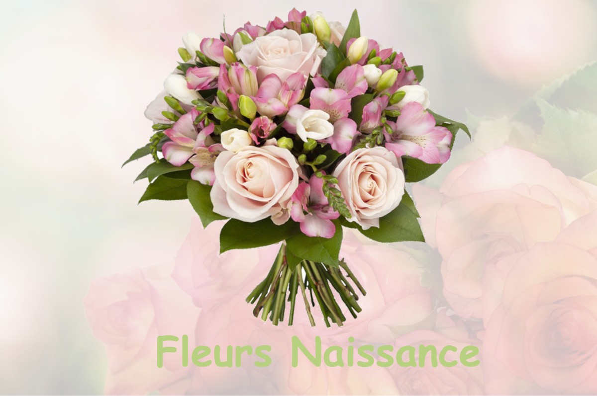 fleurs naissance SAINT-PIERRE-DES-ECHAUBROGNES